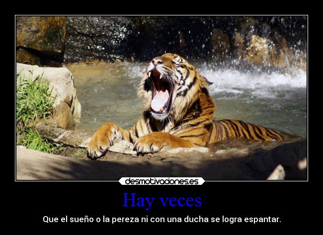 Hay veces -