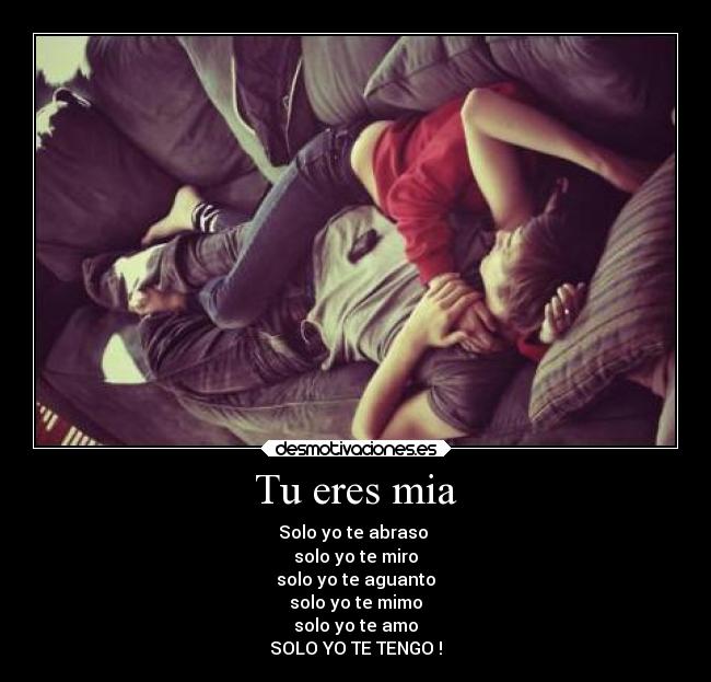 carteles animales dormir fasfas desmotivaciones