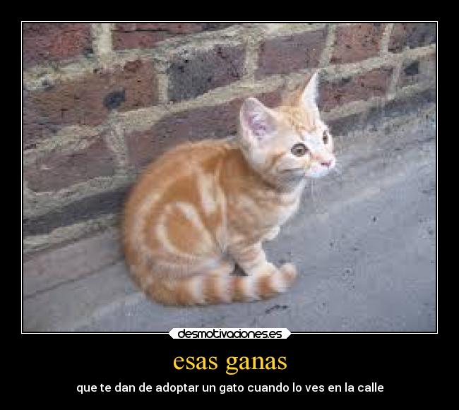 esas ganas -