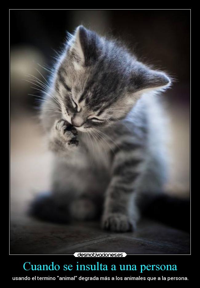 Cuando se insulta a una persona - 
