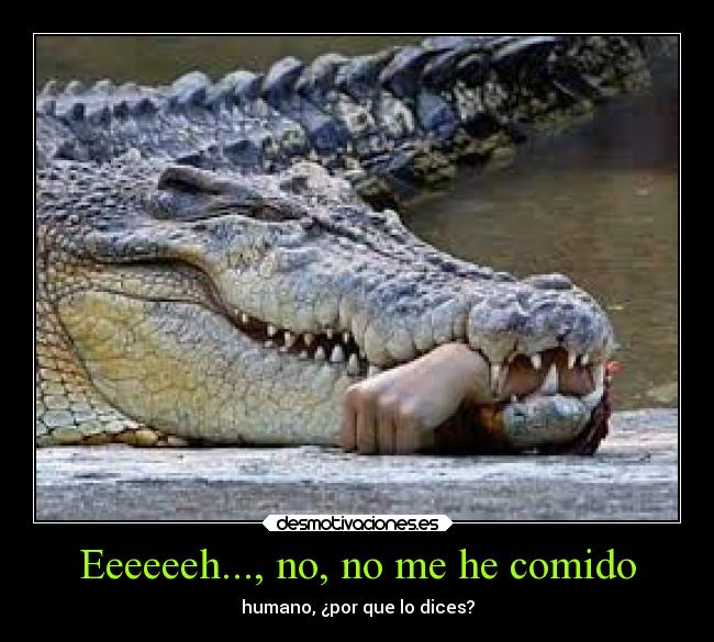 Eeeeeeh..., no, no me he comido - humano, ¿por que lo dices?