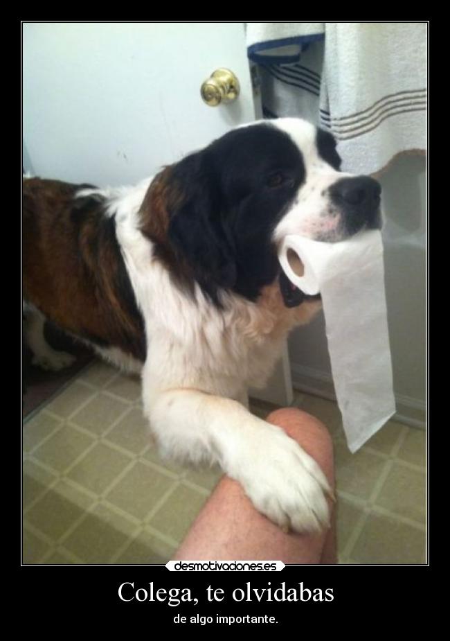 Colega, te olvidabas -