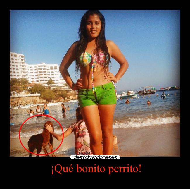 ¡Qué bonito perrito! - 