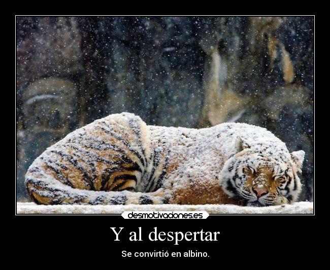 Y al despertar -