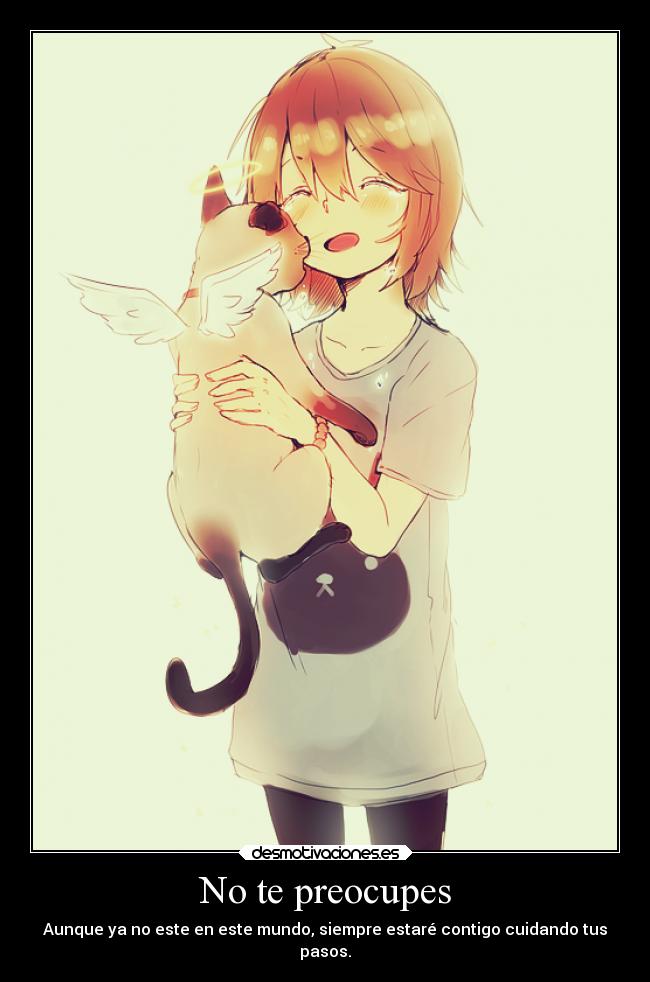 carteles animales suenos desmotivaciones