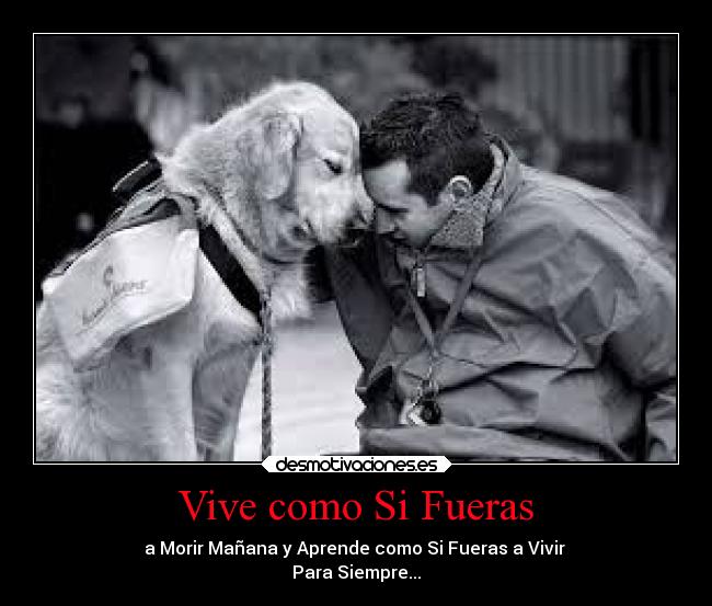 Vive como Si Fueras - a Morir Mañana y Aprende como Si Fueras a Vivir
Para Siempre...