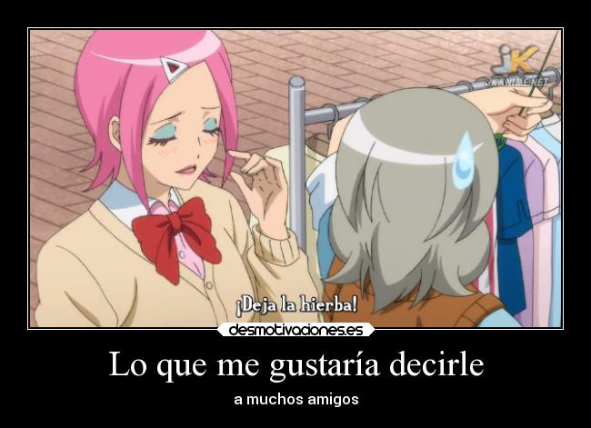 Lo que me gustaría decirle -