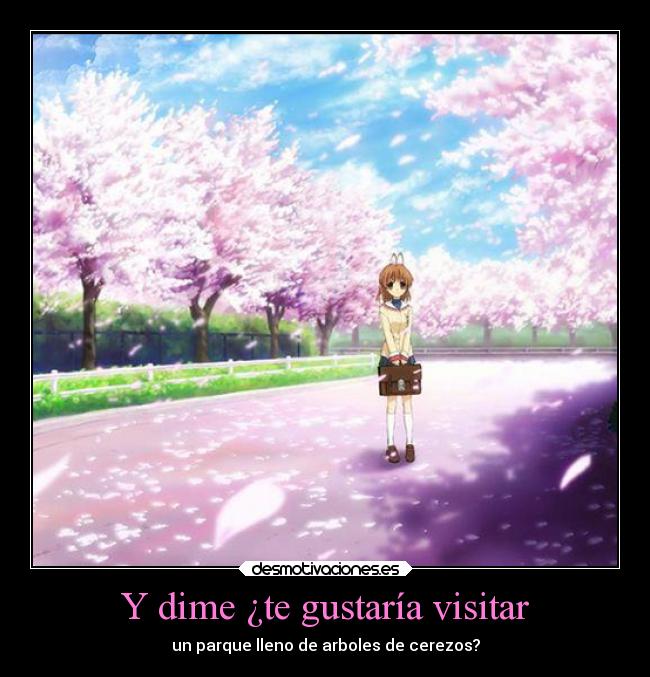 Y dime ¿te gustaría visitar -