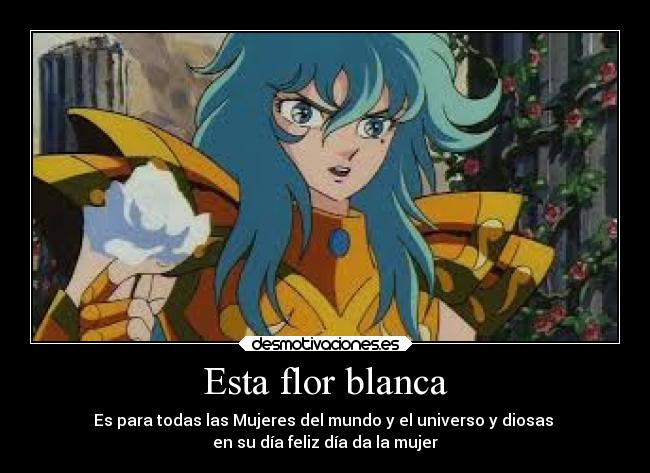 Esta flor blanca -
