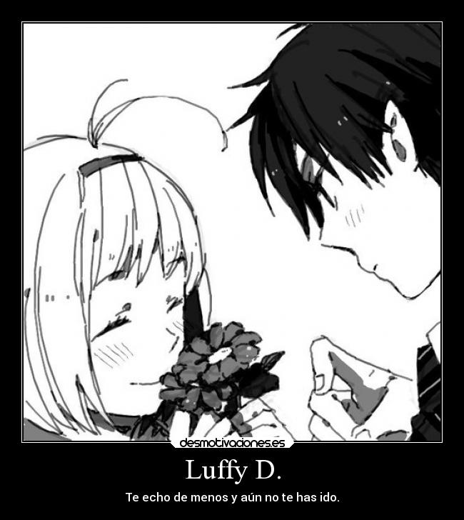 Luffy D. - 