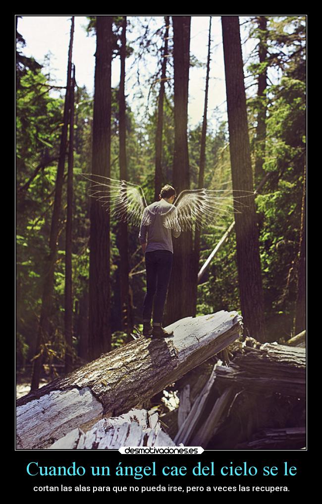 Cuando un ángel cae del cielo se le - cortan las alas para que no pueda irse, pero a veces las recupera.