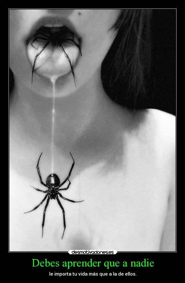 Debes aprender que a nadie -