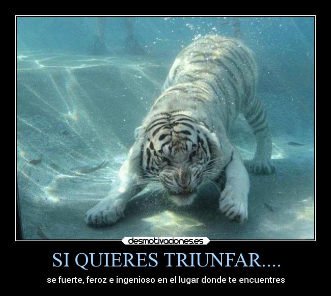 SI QUIERES TRIUNFAR.... - 