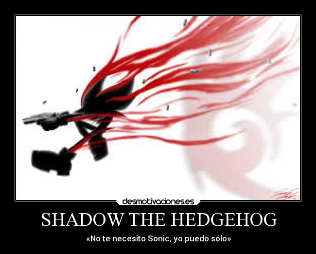 SHADOW THE HEDGEHOG -