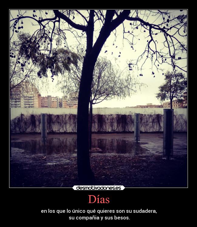 carteles besos amor sudaderasgrandesdechico sucompania nosesiestabienescrto desmotivaciones