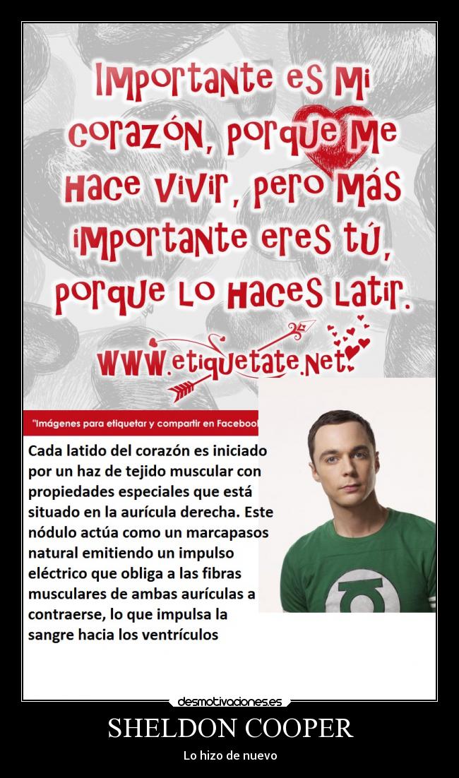 SHELDON COOPER - Lo hizo de nuevo