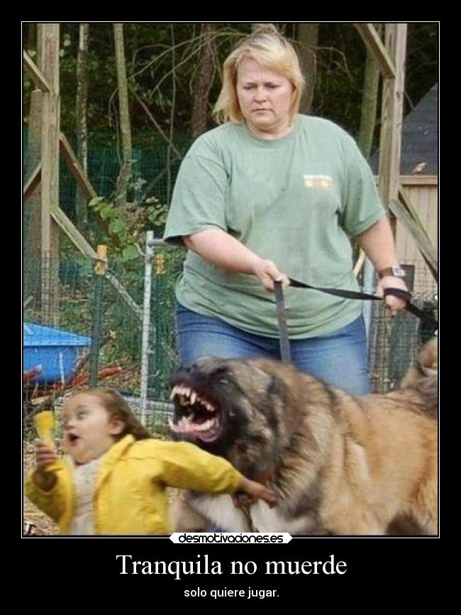 Tranquila no muerde - 