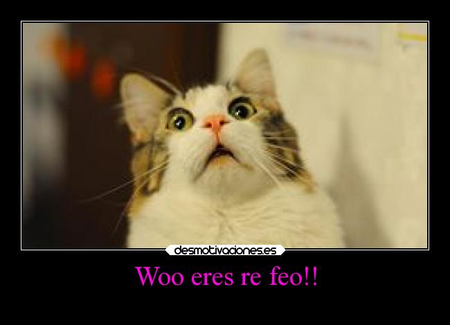 carteles chiste desmotivaciones