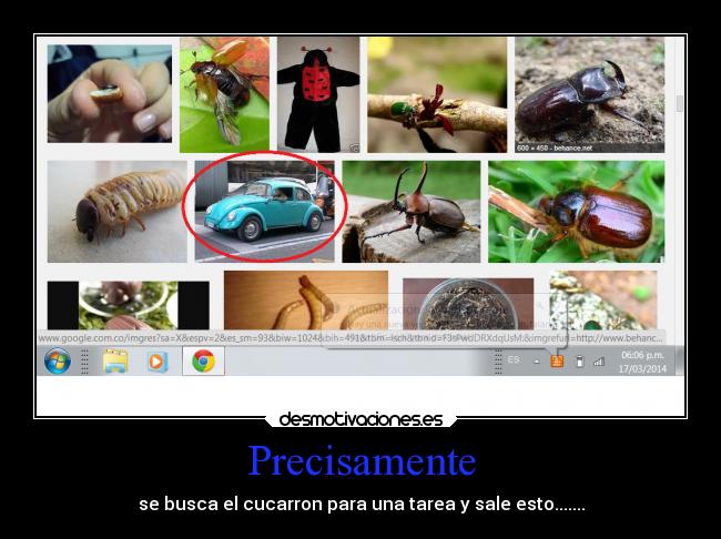 Precisamente - se busca el cucarron para una tarea y sale esto.......