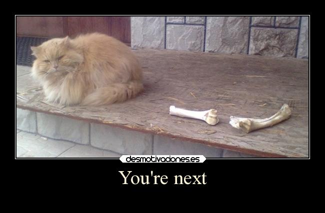 Youre next -
