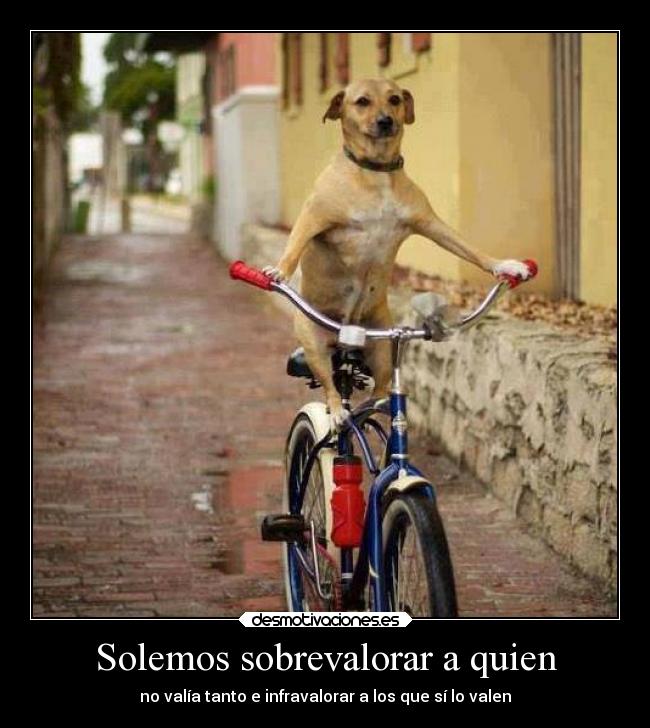 Solemos sobrevalorar a quien -