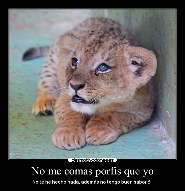No me comas porfis que yo - 