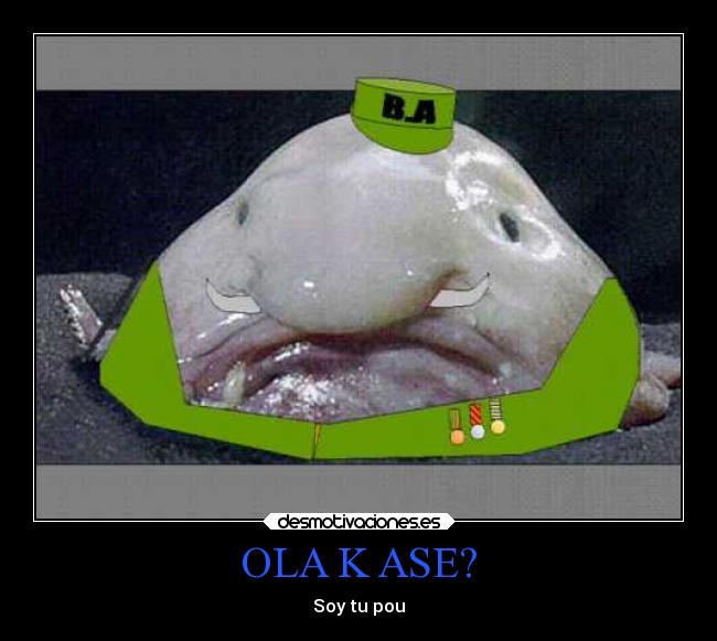 OLA K ASE? -