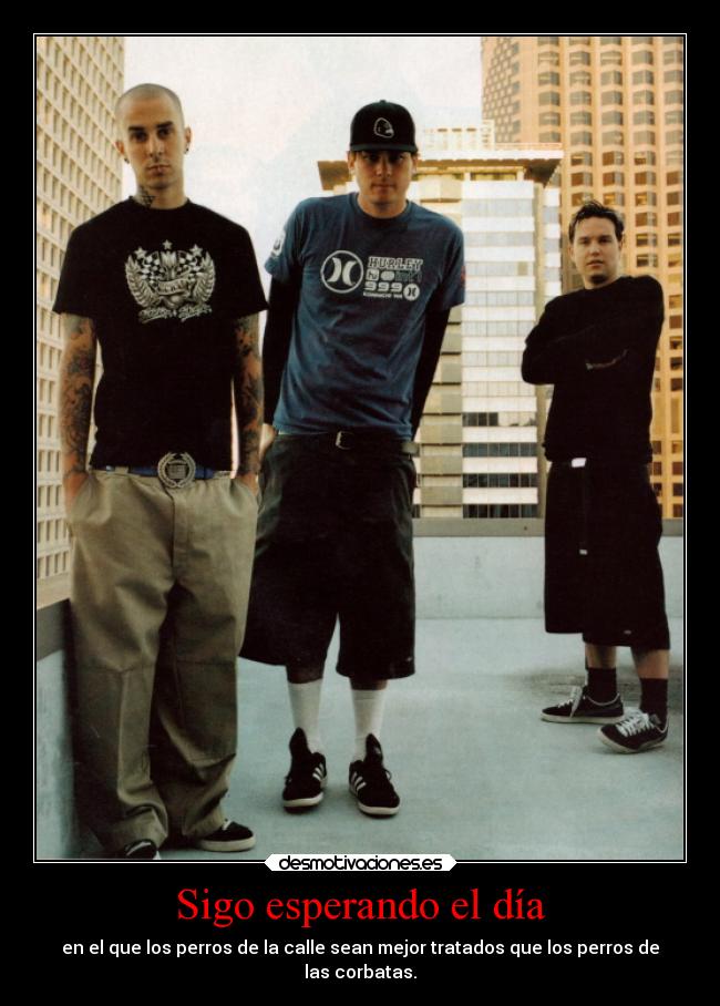 Sigo esperando el día - en el que los perros de la calle sean mejor tratados que los perros de
las corbatas.