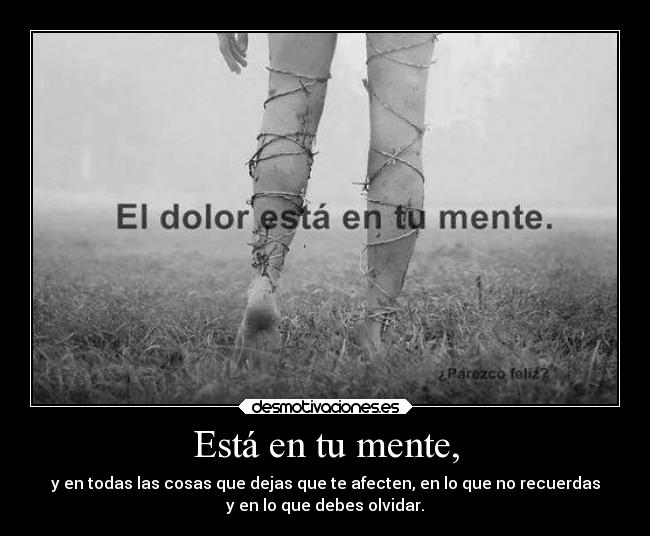 carteles confianza alegria dolor alma lie live nothing manifiesto mente lebron23 desmotivaciones