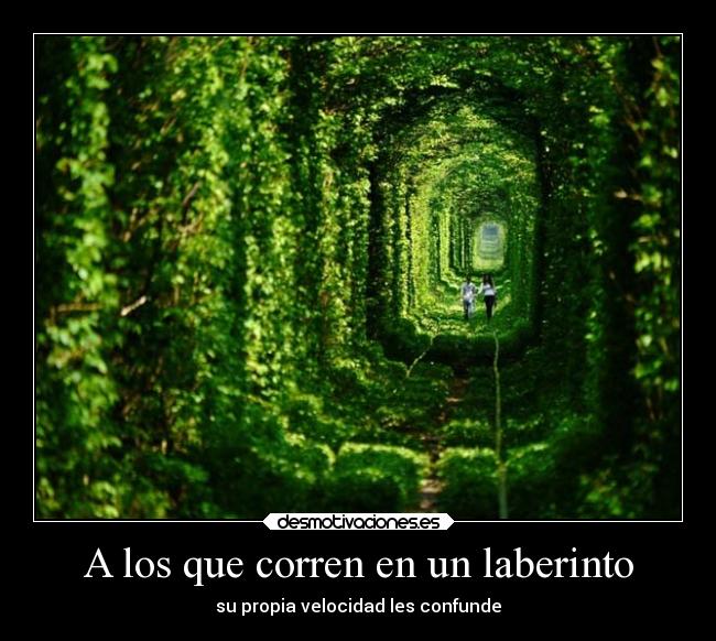 carteles confianza desmotivaciones