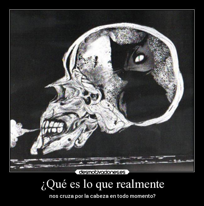 ¿Qué es lo que realmente -