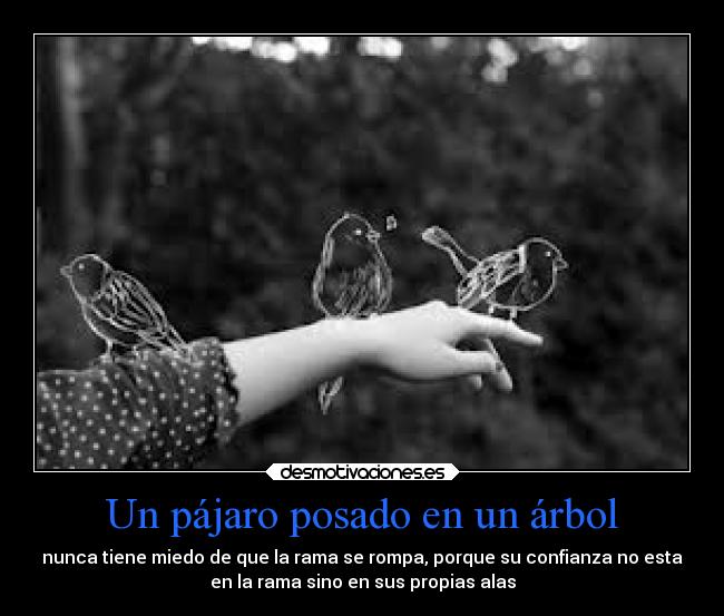 Un pájaro posado en un árbol -