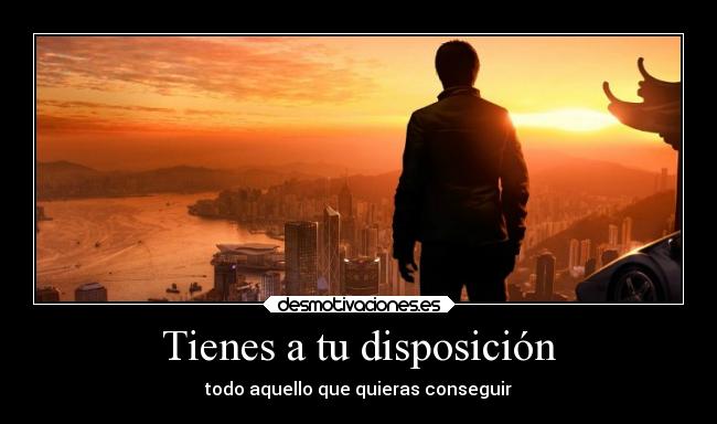 Tienes a tu disposición -