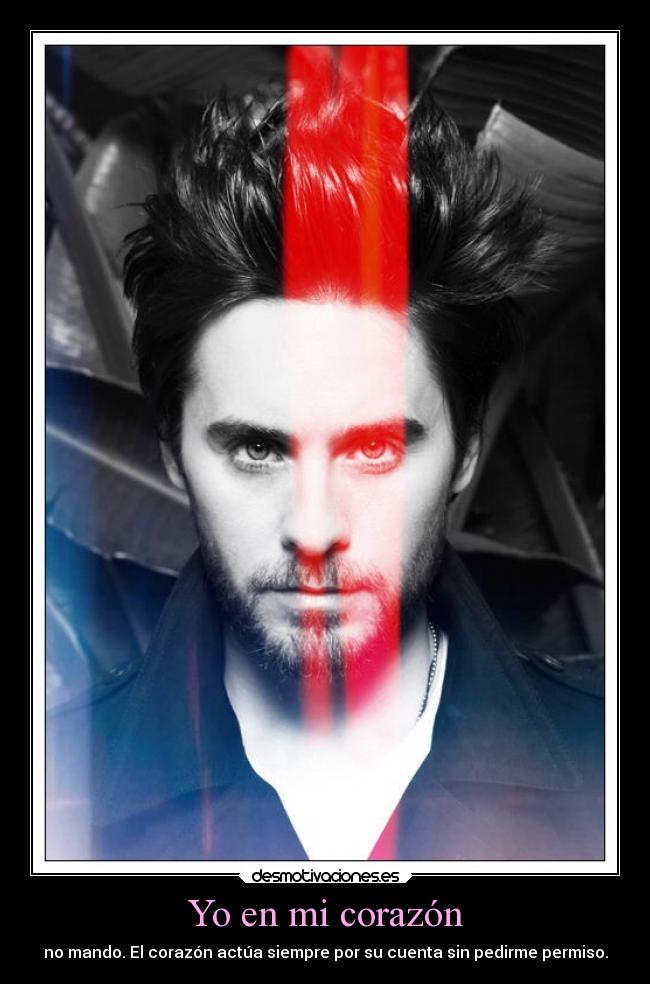 Yo en mi corazón - no mando. El corazón actúa siempre por su cuenta sin pedirme permiso.