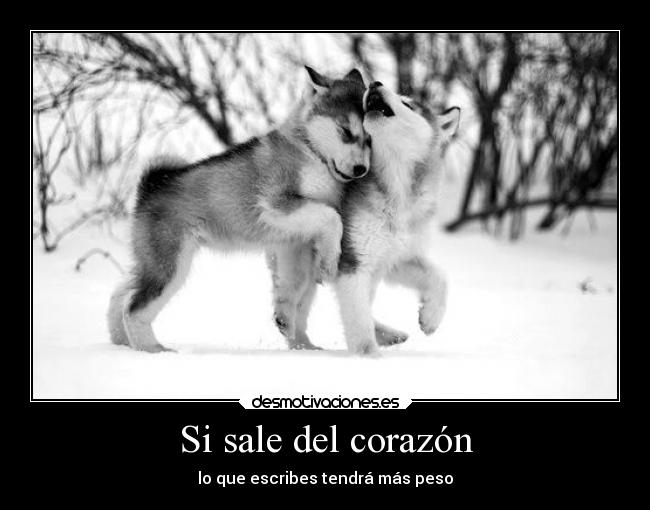 Si sale del corazón - 