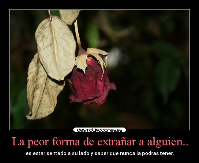 La peor forma de extrañar a alguien.. - es estar sentado a su lado y saber que nunca la podras tener.