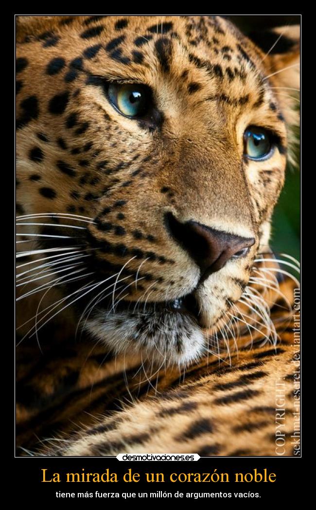 La mirada de un corazón noble -