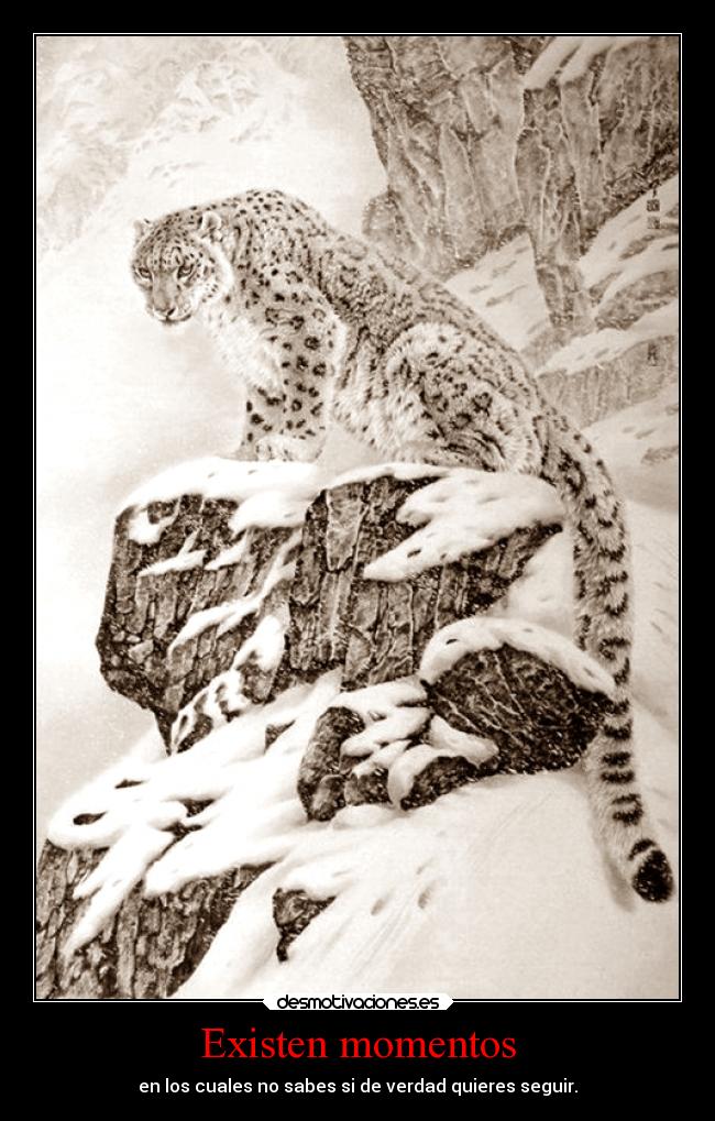 Existen momentos - en los cuales no sabes si de verdad quieres seguir.