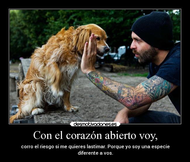 Con el corazón abierto voy, - 