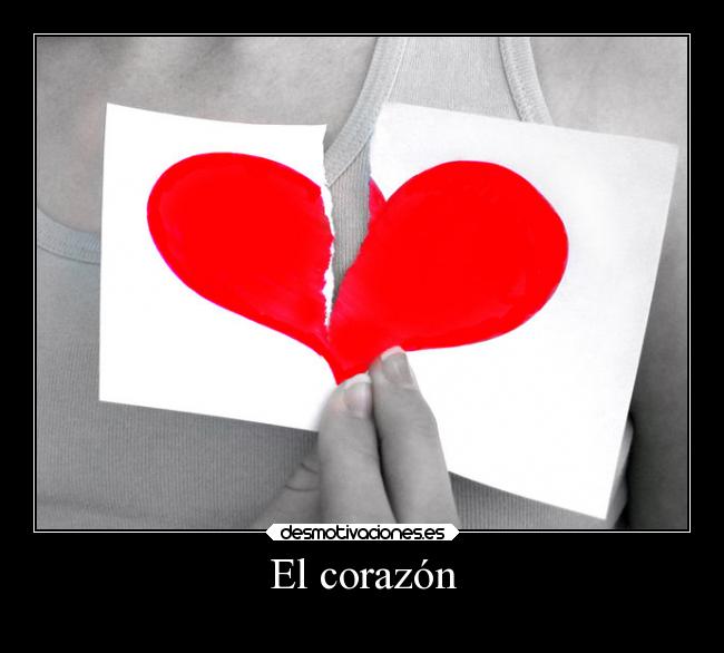 El corazón -