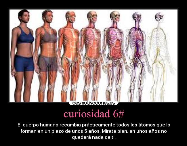 curiosidad 6# - 
