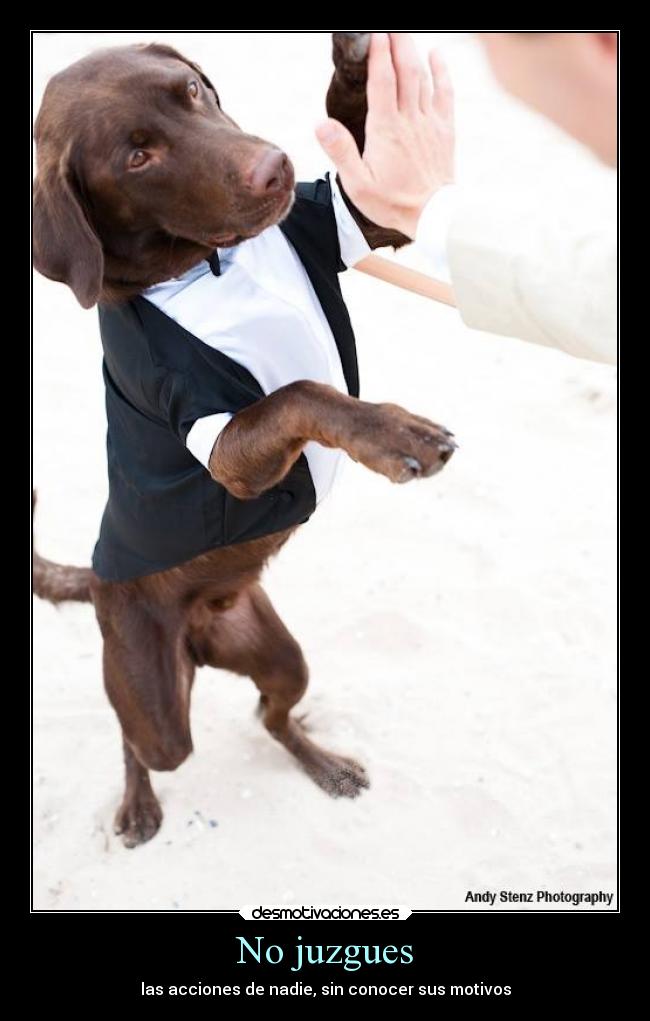 No juzgues - las acciones de nadie, sin conocer sus motivos