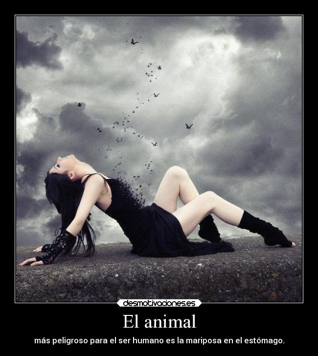 El animal - 