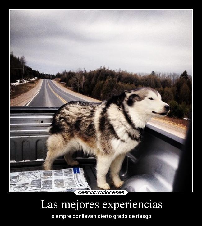 Las mejores experiencias - siempre conllevan cierto grado de riesgo