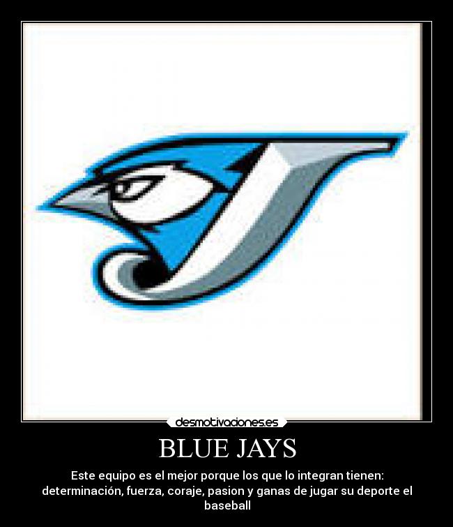 BLUE JAYS - 