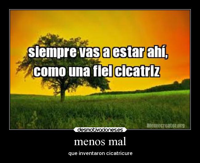 menos mal - que inventaron cicatricure