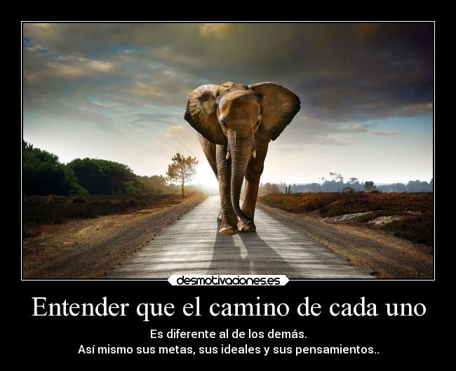 Entender que el camino de cada uno - Es diferente al de los demás.
Así mismo sus metas, sus ideales y sus pensamientos..