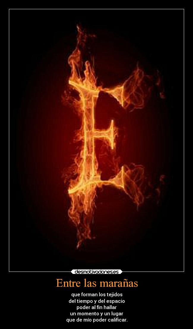 Entre las marañas -