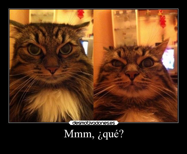 Mmm, ¿qué? - 