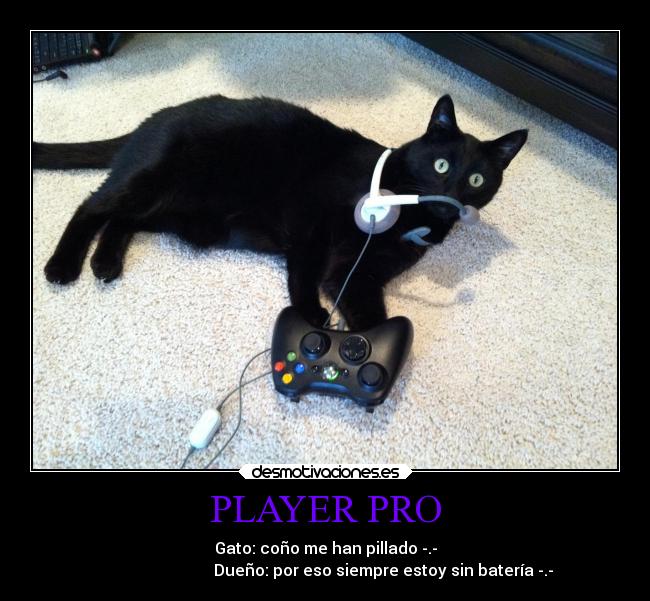 carteles desmotivaciones deseos chiste confianza ayuda arte animales amistad amigos alma alegria abrazos desmotivaciones